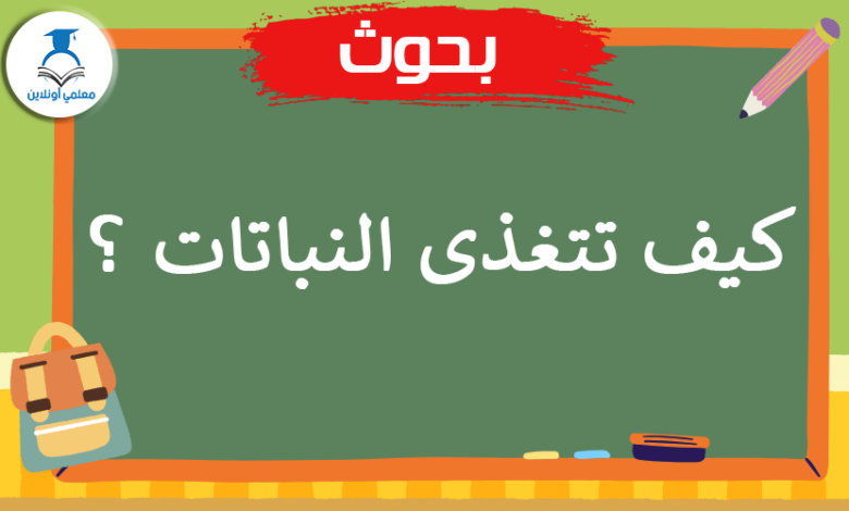 كيف تتغذى النباتات