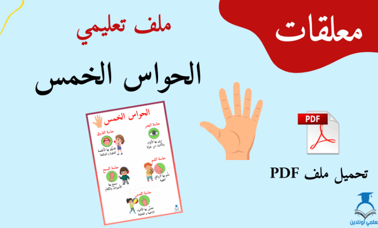 دعنا نكتشف الحواس الخمس مع معلمي أونلاين