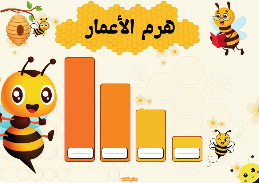 المعلقات الرسمية صفحة هرم الأعمار