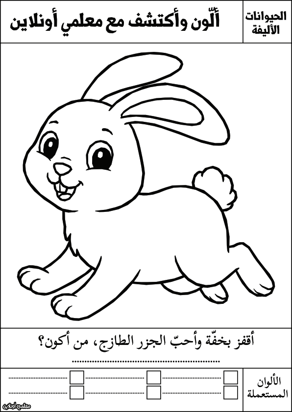 أوراق تلوين للأطفال الحيوانات الأليفة الأرنب - معلمي أونلاين