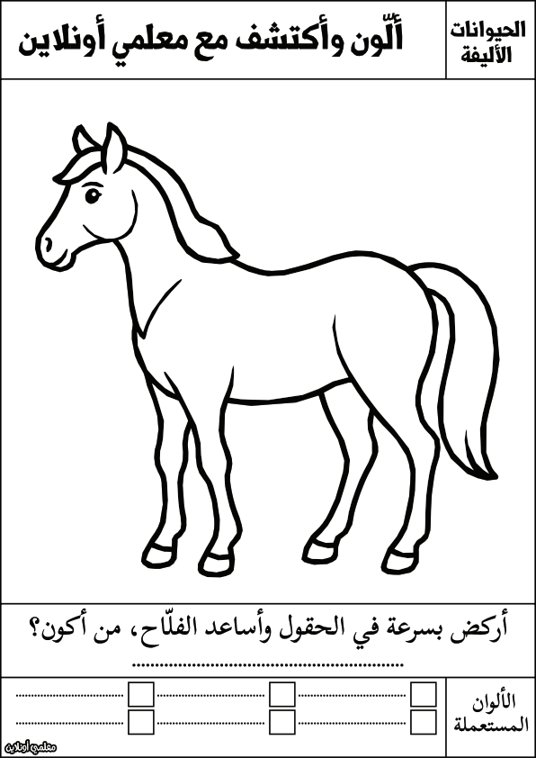 أوراق تلوين للأطفال الحيوانات الأليفة الحصان - معلمي أونلاين