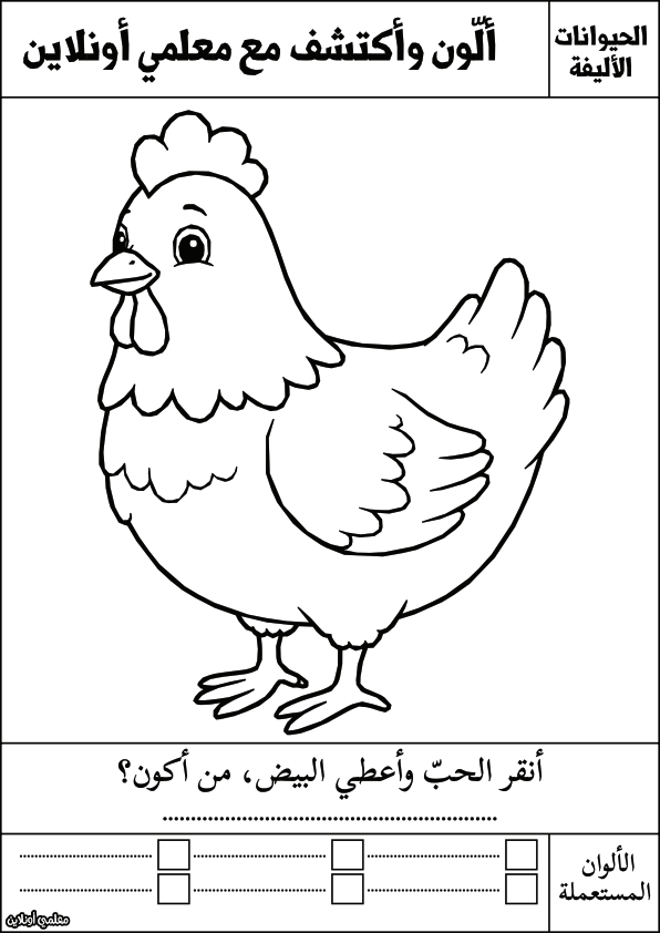 أوراق تلوين للأطفال الحيوانات الأليفة الدجاجة - معلمي أونلاين