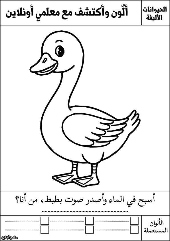 أوراق تلوين للأطفال الحيوانات الأليفة البطة- معلمي أونلاين