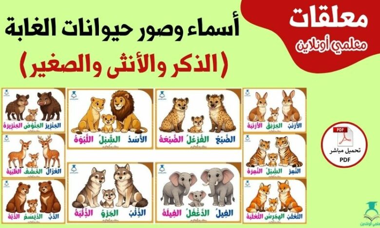 أسماء وصور حيوانات الغابة (الذكر والأنثى والصغير)