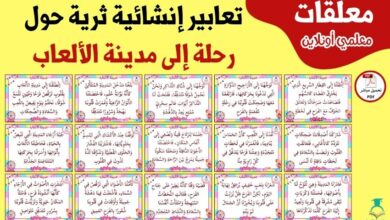 تعابير إنشائية ثرية حول رحلة إلى مدينة الألعاب
