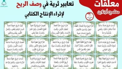 تعابير ثرية في وصف الريح